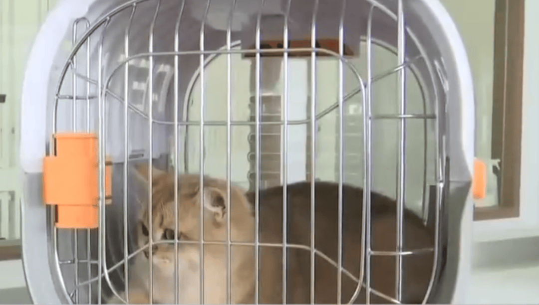 2024年5月14日三分钟知晓天下事