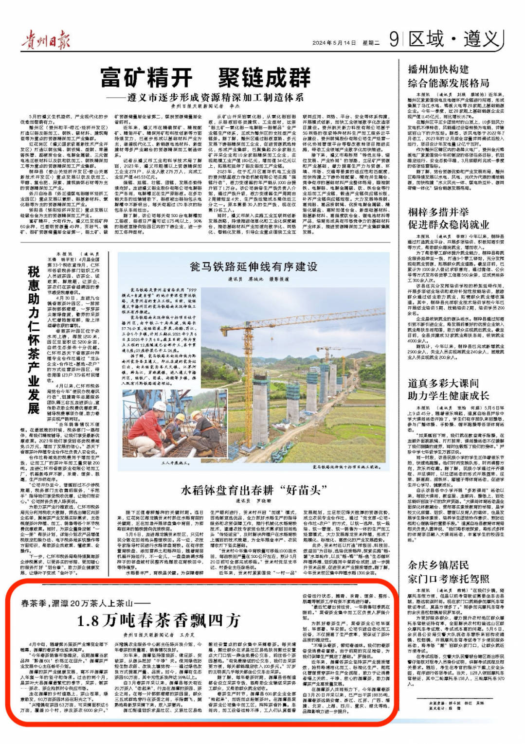 春茶季,湄潭20万茶人上茶山—— 1.8万吨春茶香飘四方