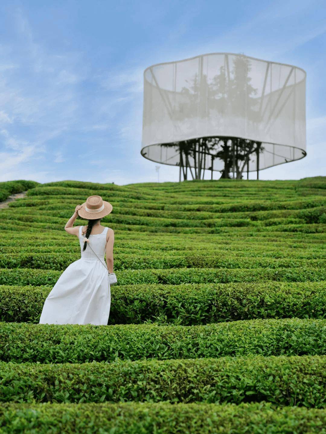 被预言是"下一个大理",这座便宜到哭的瓷都,不加