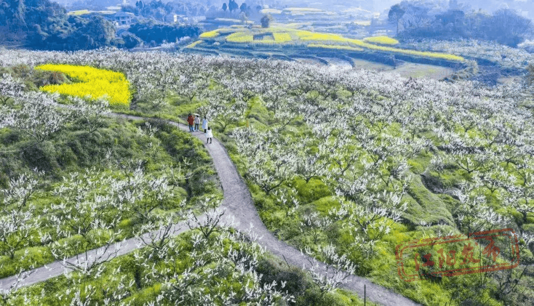 乡村篮球大赛(村ba)川南赛区赛事活动将在江阳区分水岭镇董允坝村举行