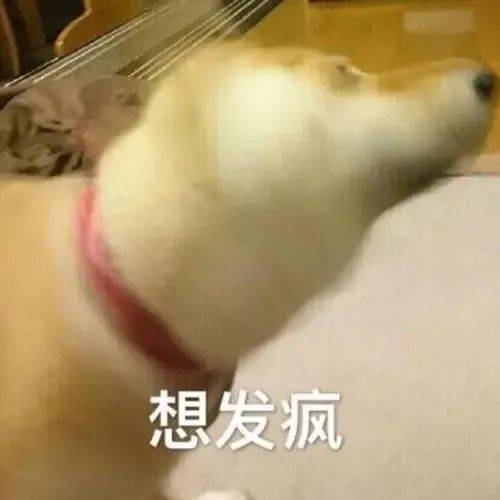 没得哪个有对象的女娃娃,听了这个还能笑得出来哈