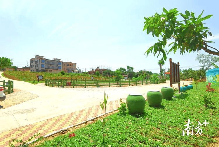 观珠镇葛山村:"电商村"产业提质记 | 茂名典型村一线行70