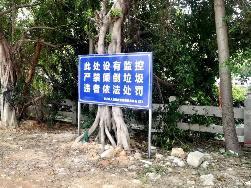 青阳街道持续整治乱倒垃圾现象,加强后续监管