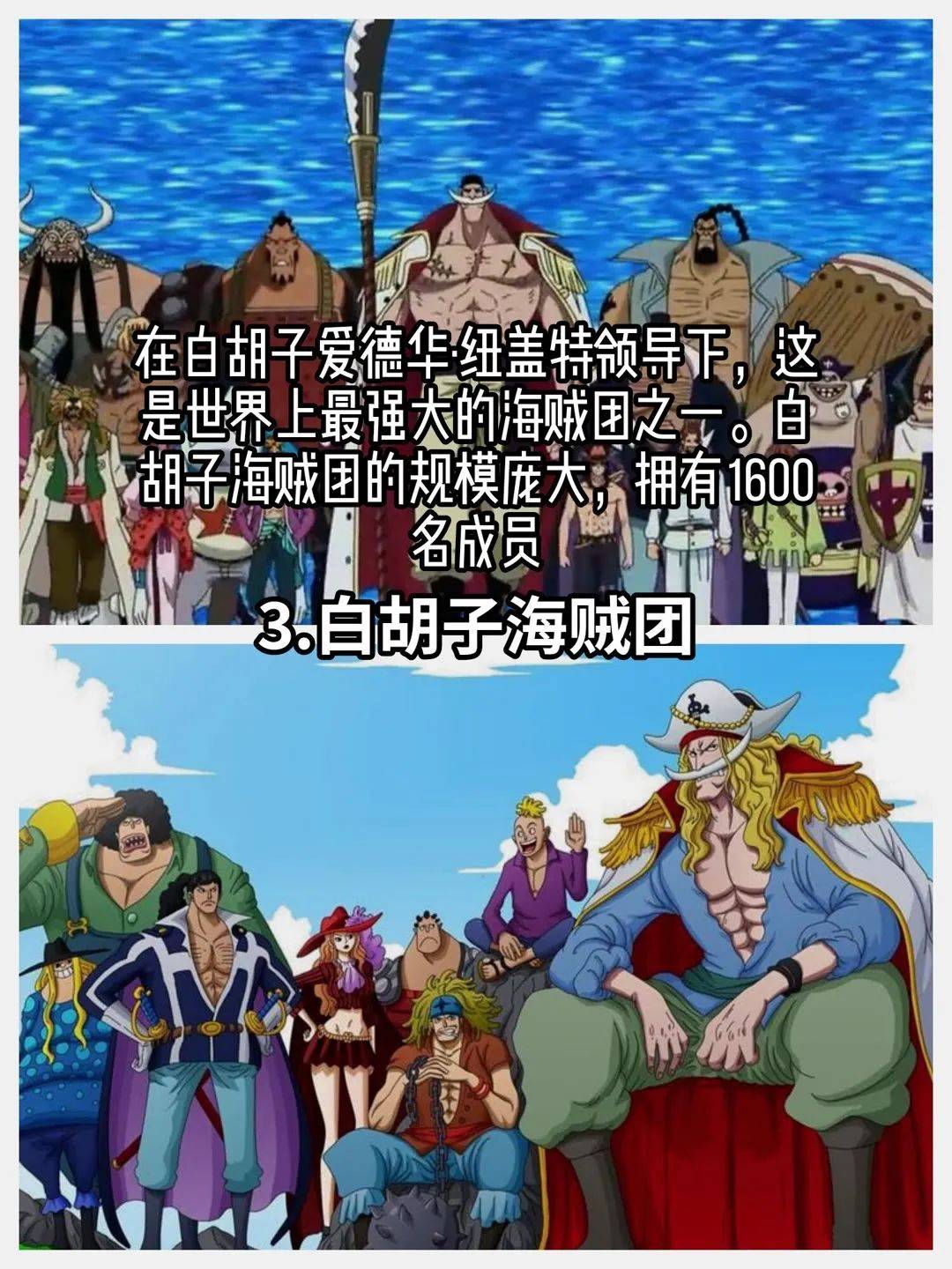 海贼王最强海贼团实力排名,罗杰海贼团只排到了第二名