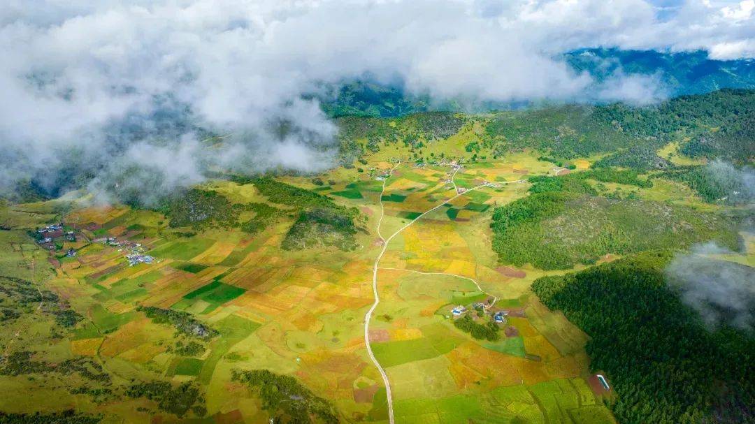 格萨拉彝族乡:抢抓机遇谋发展,特色产业促共富