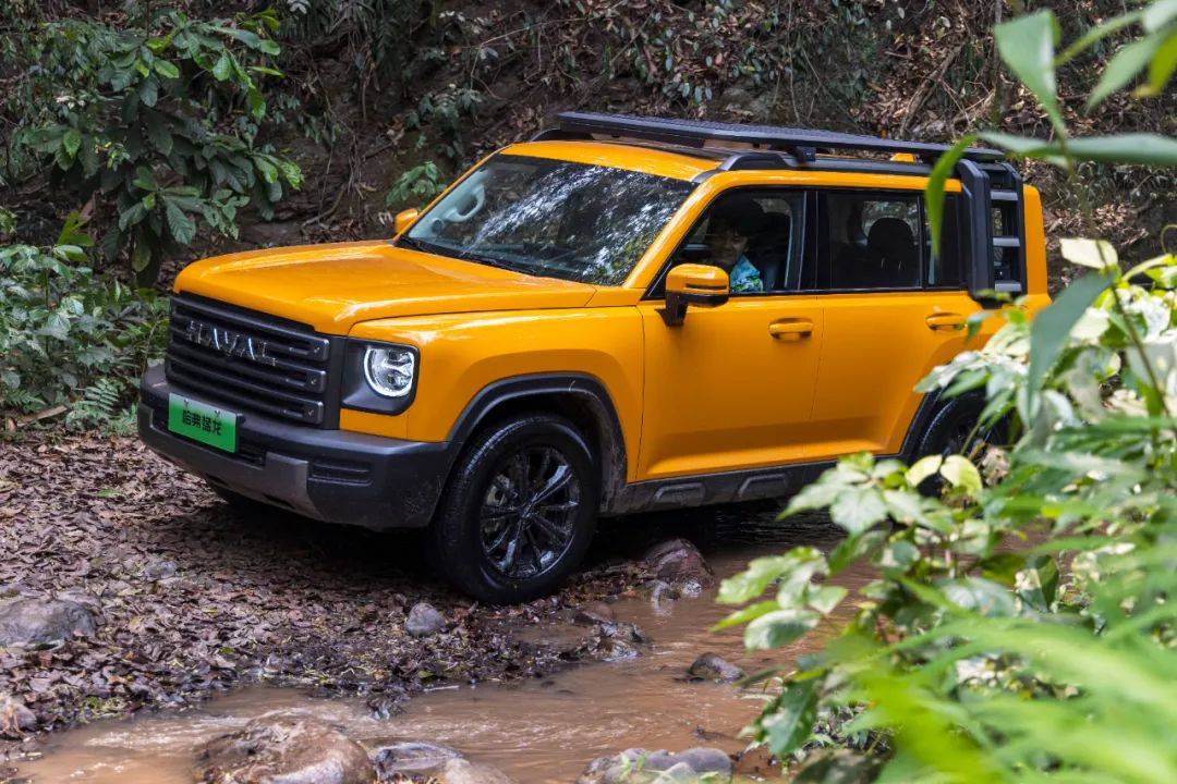 西双版纳越个野_搜狐汽车_搜狐网