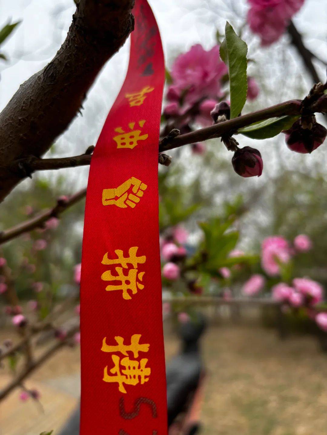 光影之中的赏心美景请欣赏河北保定外国语学校教职工摄影作品