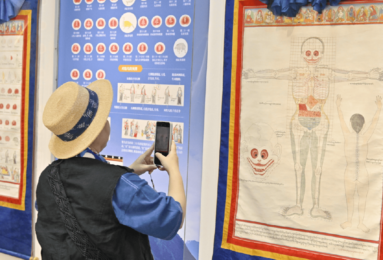 伪满皇宫博物院联合西藏博物馆重磅推出曼唐——藏医药精品唐卡展