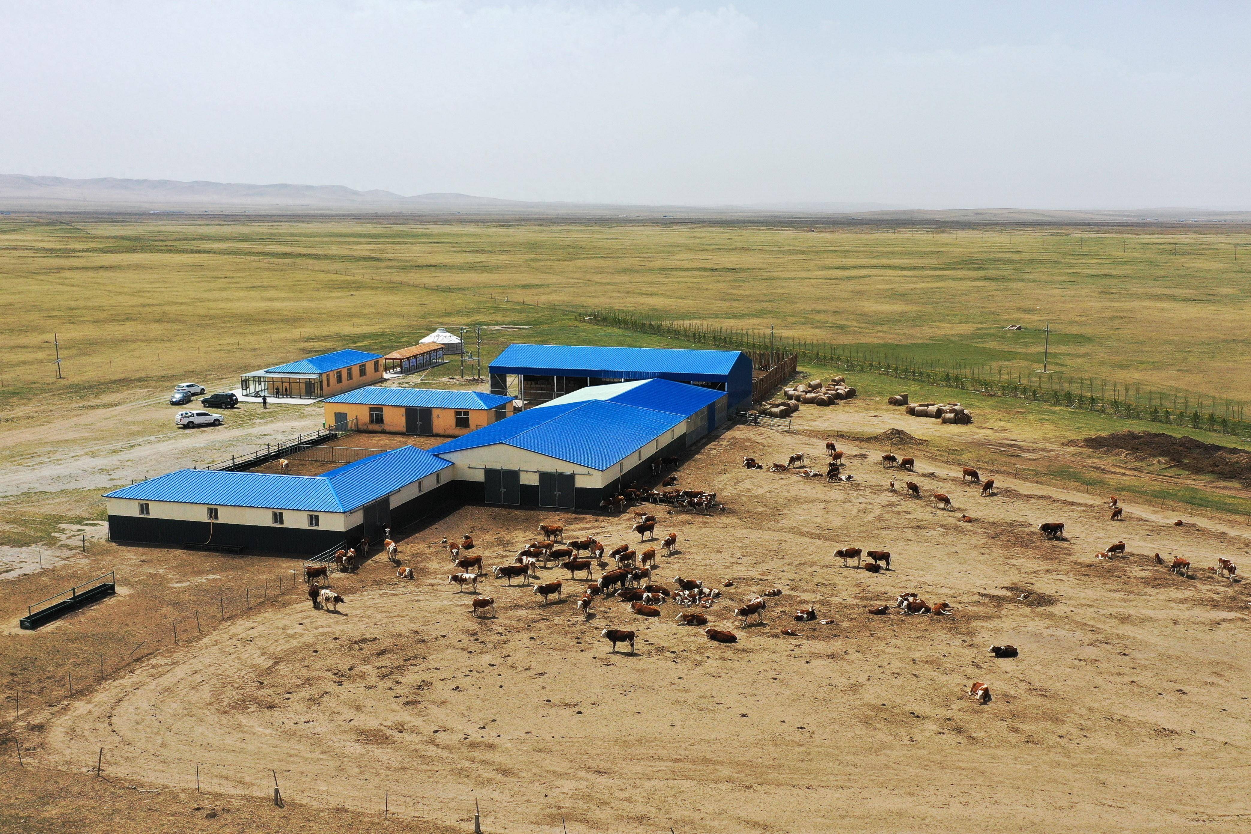 内蒙古西乌珠穆沁旗:嘎查集体经济带动牧民增收_新华社_吉仁高勒镇_股