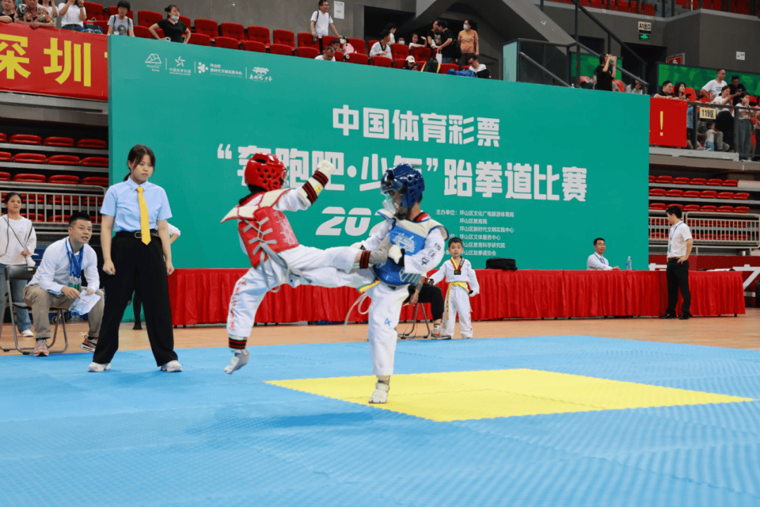 体彩公益金助力深圳少年"跆"出活力,"乒"出精彩_比赛_跆拳道_体育