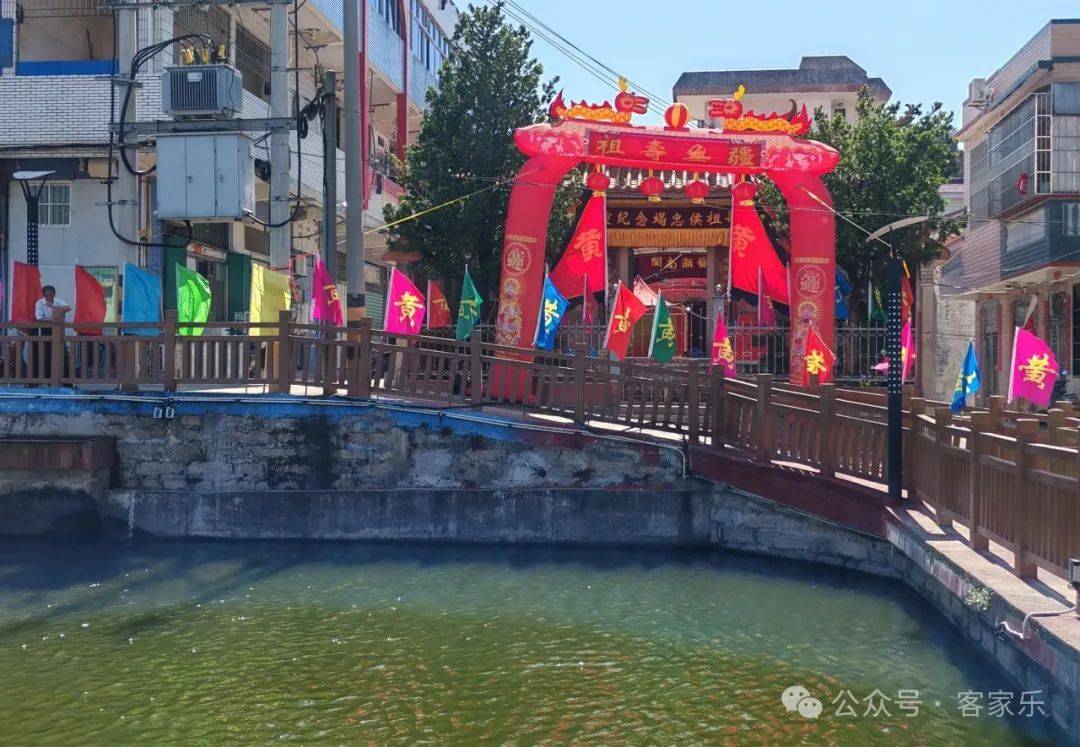 闽粤四县黄氏聚诏安:隆重纪念"竭忠侯黄世纪公"甲辰寿诞活动