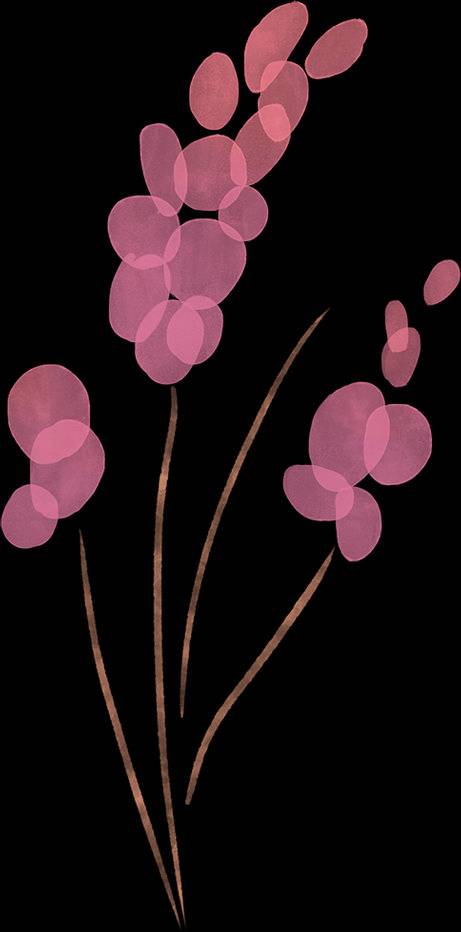 看展览,听讲座,集印章……国际博物馆日,昆明这些活动等你来!