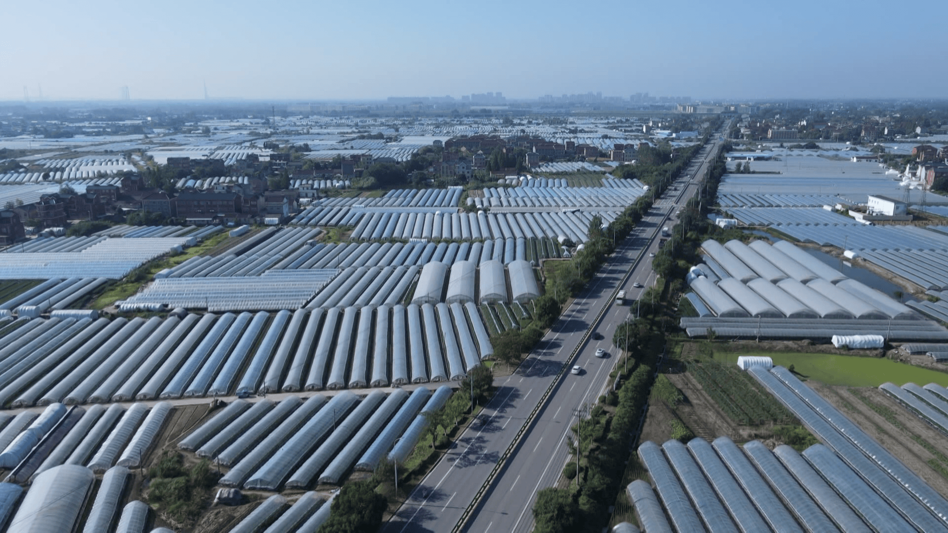 马鞍山:科技赋能 "棚"勃发展