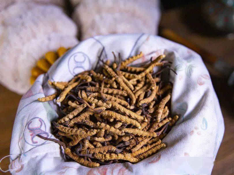 "天价虫草"内幕被曝光,这个虫草姑娘一番话让人恍然大悟