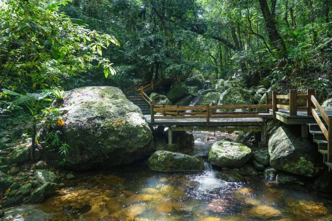 上山撒点"野" | "5·18" "5·19" 去五指山体验民族风情 漂流,在山里