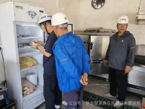 张强,巴达日拉图,邬龙宇,刘志强,宋博伟项目名称:亿成国悦府检查内容