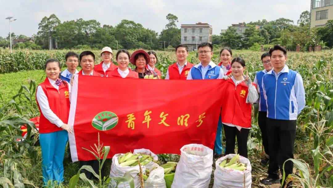 广西平陆运河项目青年文明号开展助农志愿活动
