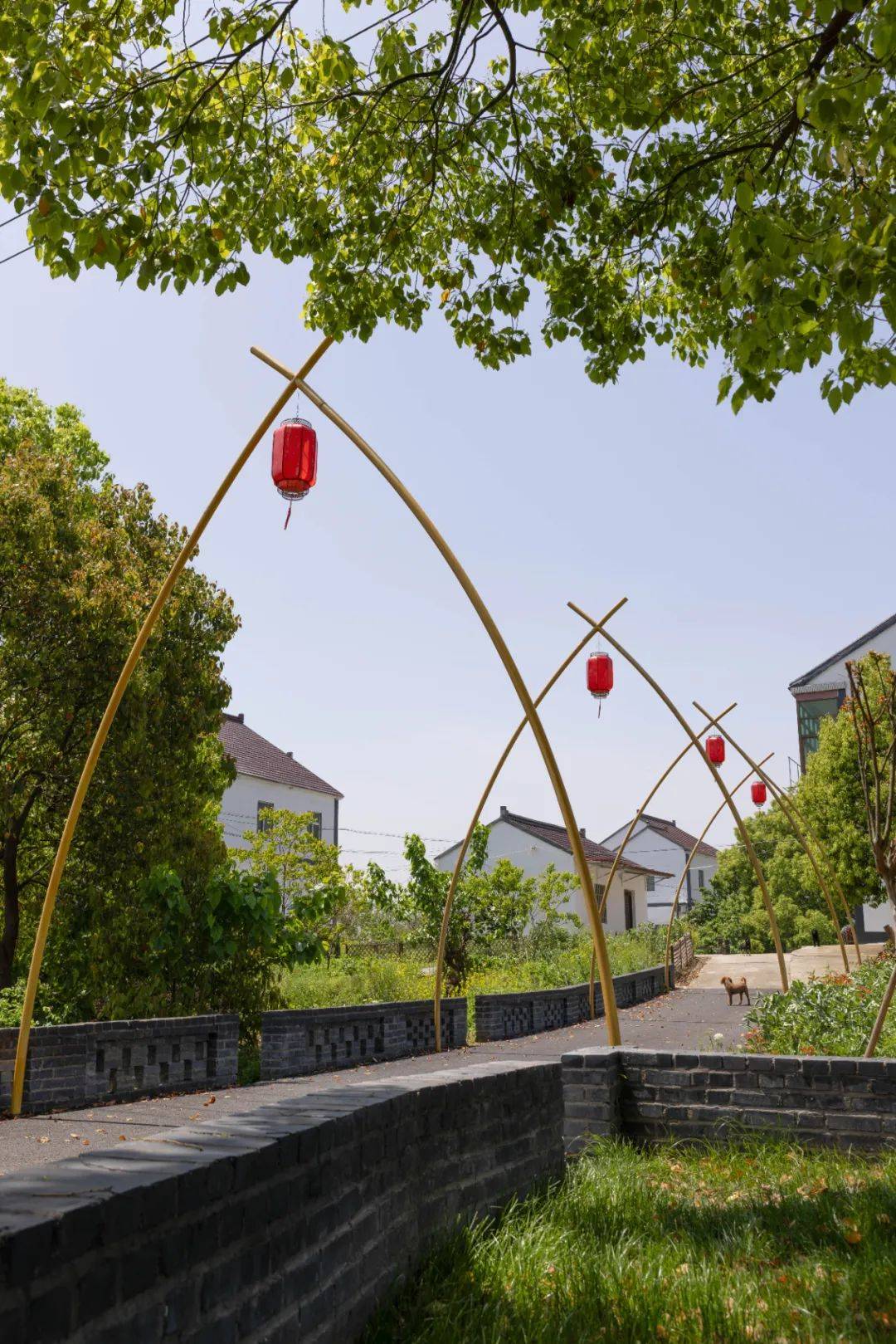 平介设计 | "五美三优"行动:苏州市震泽镇乡村景观改造