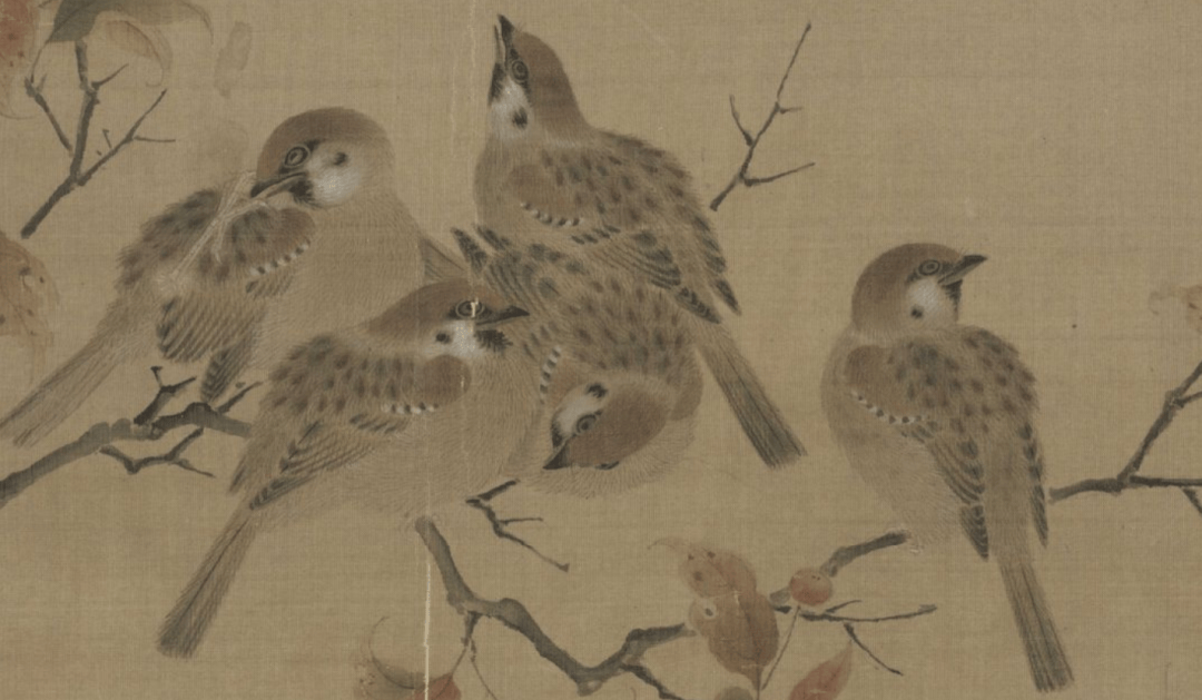 瓦雀栖枝图故宫博物院南宋 佚名红蓼水禽图北京故宫博物院宋 佚名