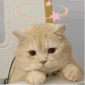 有点贱贱的表情包:你的备胎来看你了