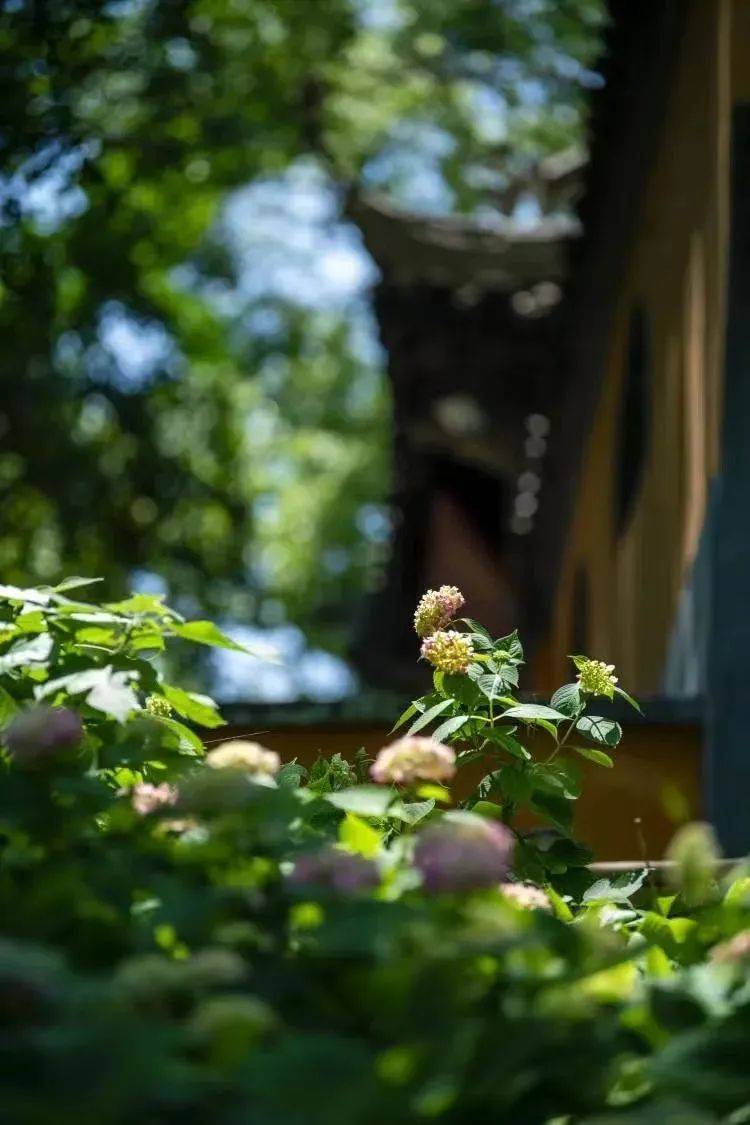 无锡,太好看了!