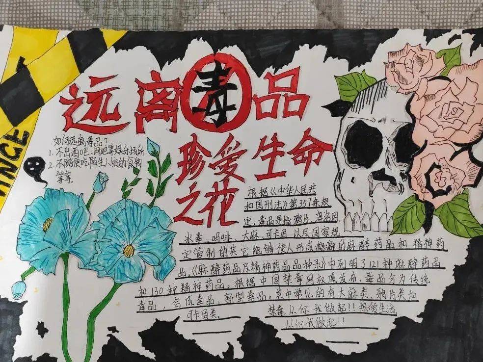 笔尖发"声" "画"里禁毒_贵州省_江口县_毒品