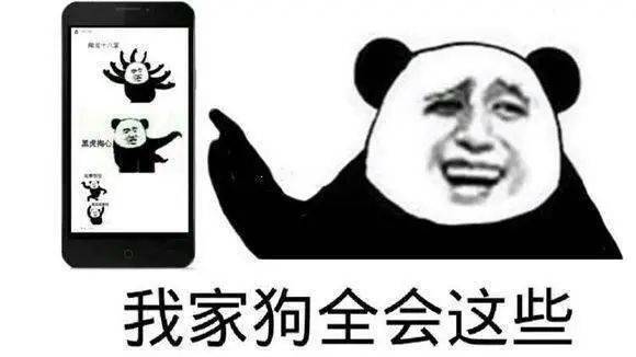 熊猫掐人中表情包图片