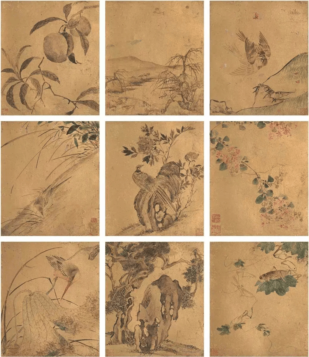周之冕笔下的花鸟世界
