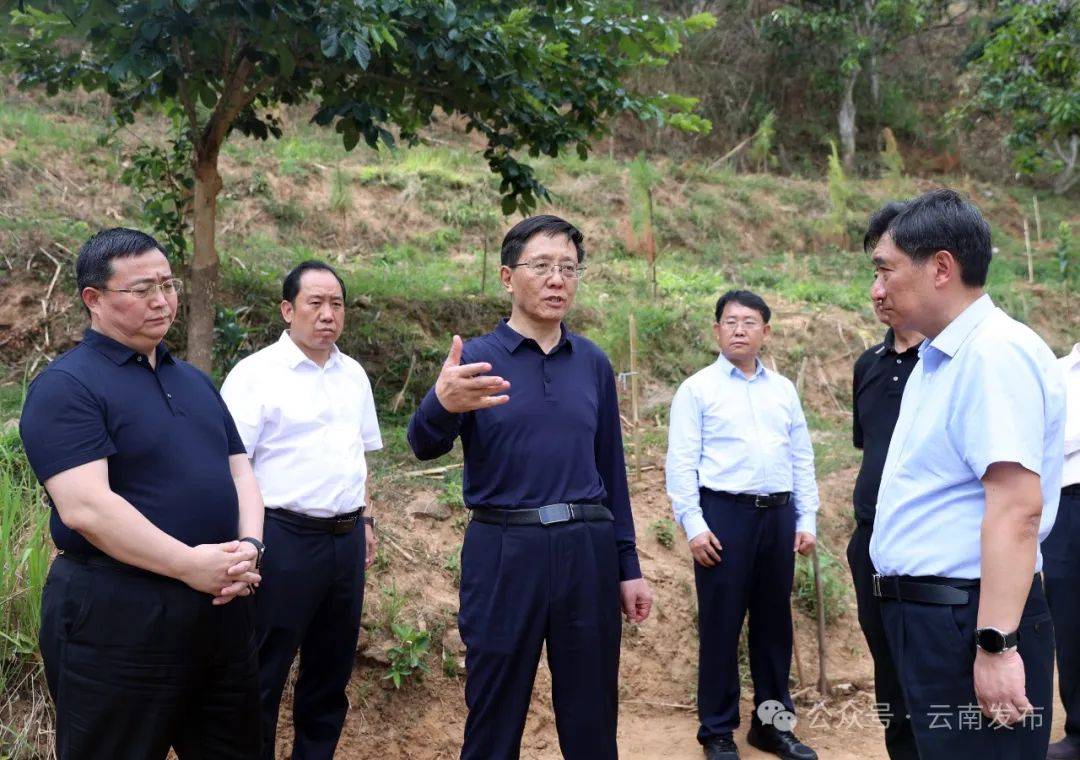 王予波来到临翔区蚂蚁堆乡杏勒村,实地察看磨岸河右岸地块,大
