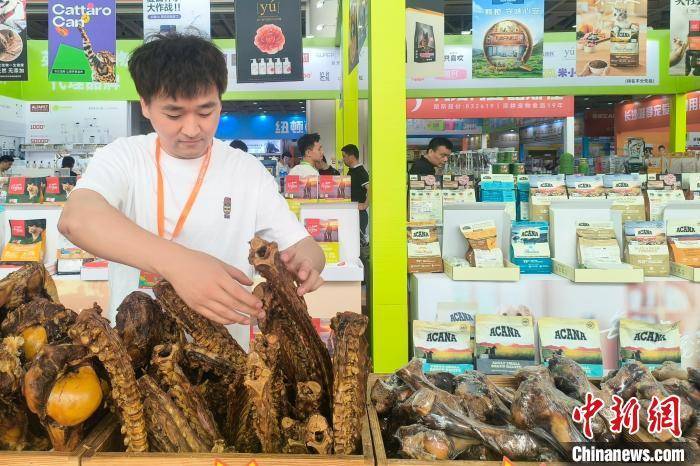 精细化消费加速孕育宠物经济新职业