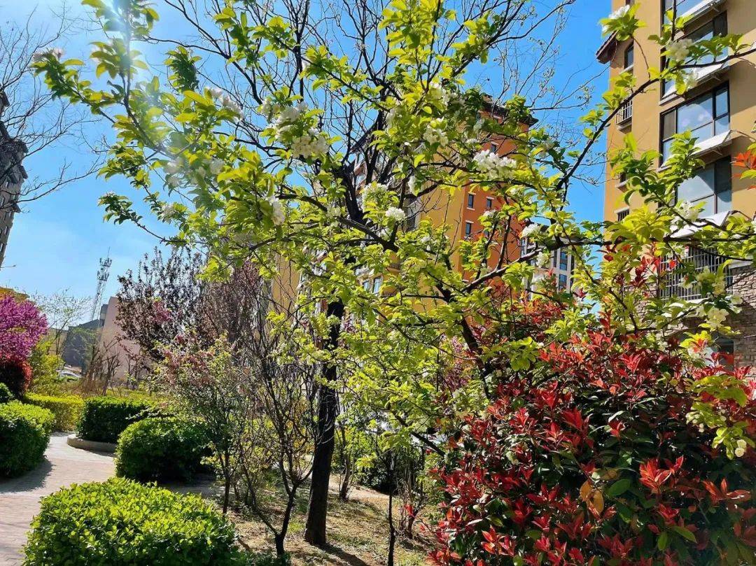 水街道热盘菲达广场·音乐花园碧桂园·御珑府中骏·世界城城嘉·观湖