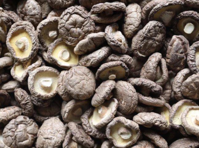 双孢菇,羊肚菌灵芝等十余个以食用菌速冻,罐头功能饮料,菌菇肉,菌面