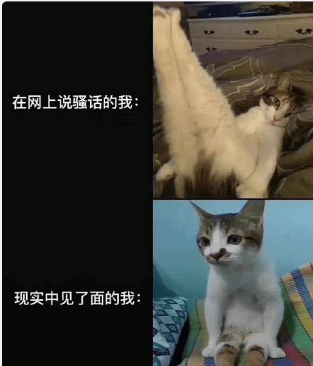 可可爱爱实用的表情包