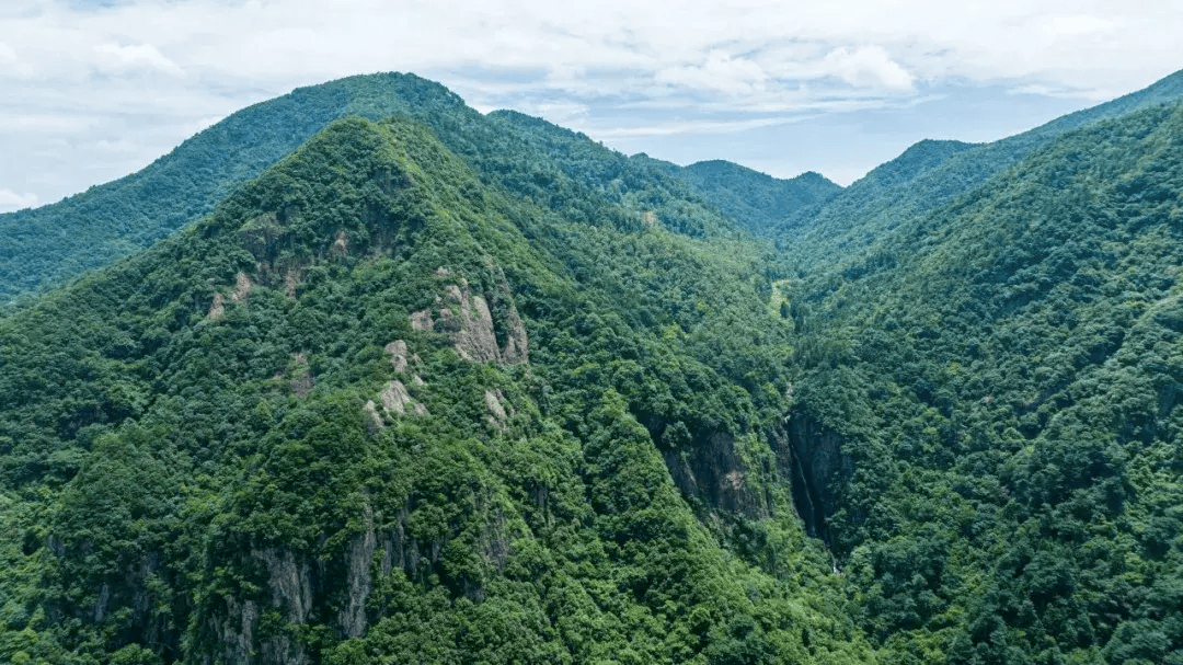 富阳龙门山森林公园图片