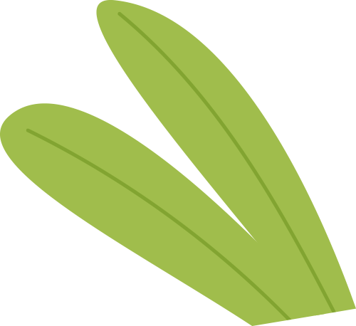 赴德行李建议 |带好这十样东西保证你顺顺利利通关留德新手村!