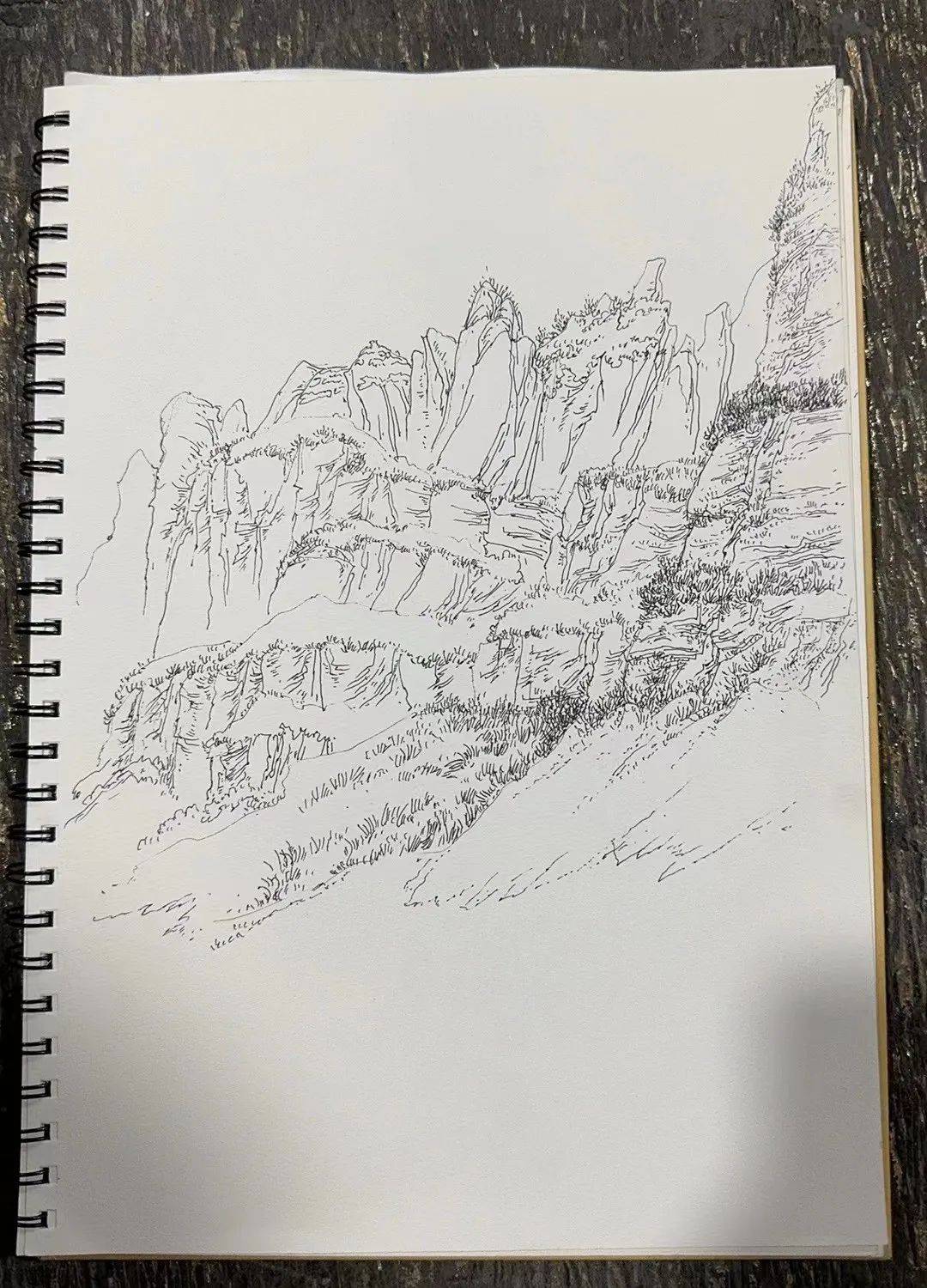 培养了学生对自然风景和环境的观察力和感受力,提升了学生对风景速写