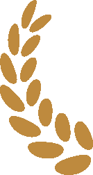 经典暮影·黑金风尚