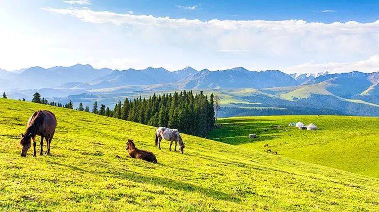 day6 巩留/新源-那拉提空中草原-独库中段-巴音布鲁克(天鹅家园 九曲