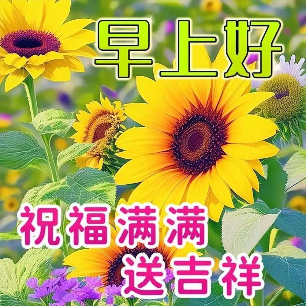 最新早上好表情包,笑口常开,好运常在!