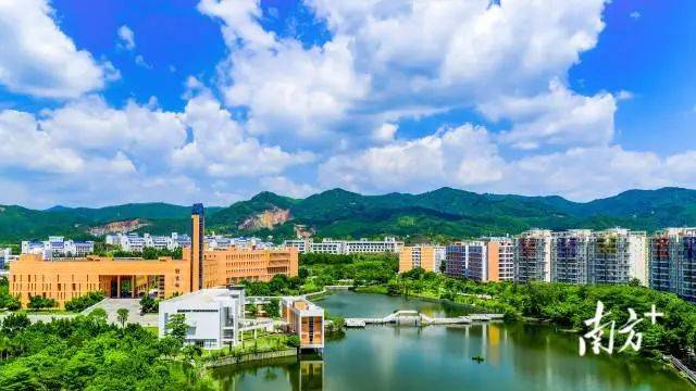 5·20江东新区成立十周年,各界劳动者来表白