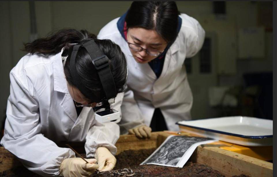 将用5年时间,为县(市,区)及以下文物保护事业单位共计培养不超过300