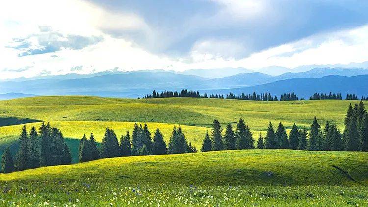 【新疆是个好地方】轻奢游小车系列 独伊无二—独库