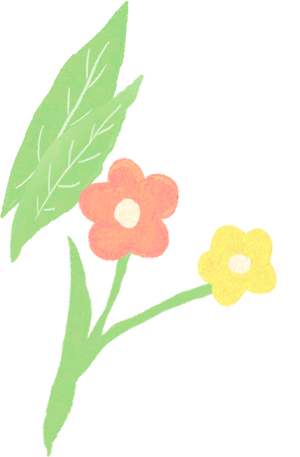 科技放飞梦想——记红星实验小学2024年科技节活动