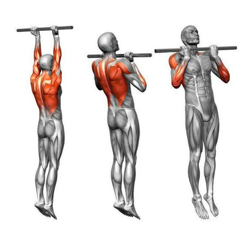 想要进行引体向上训练,我们需要掌握正确的姿势跟发力,同时进行用弹力