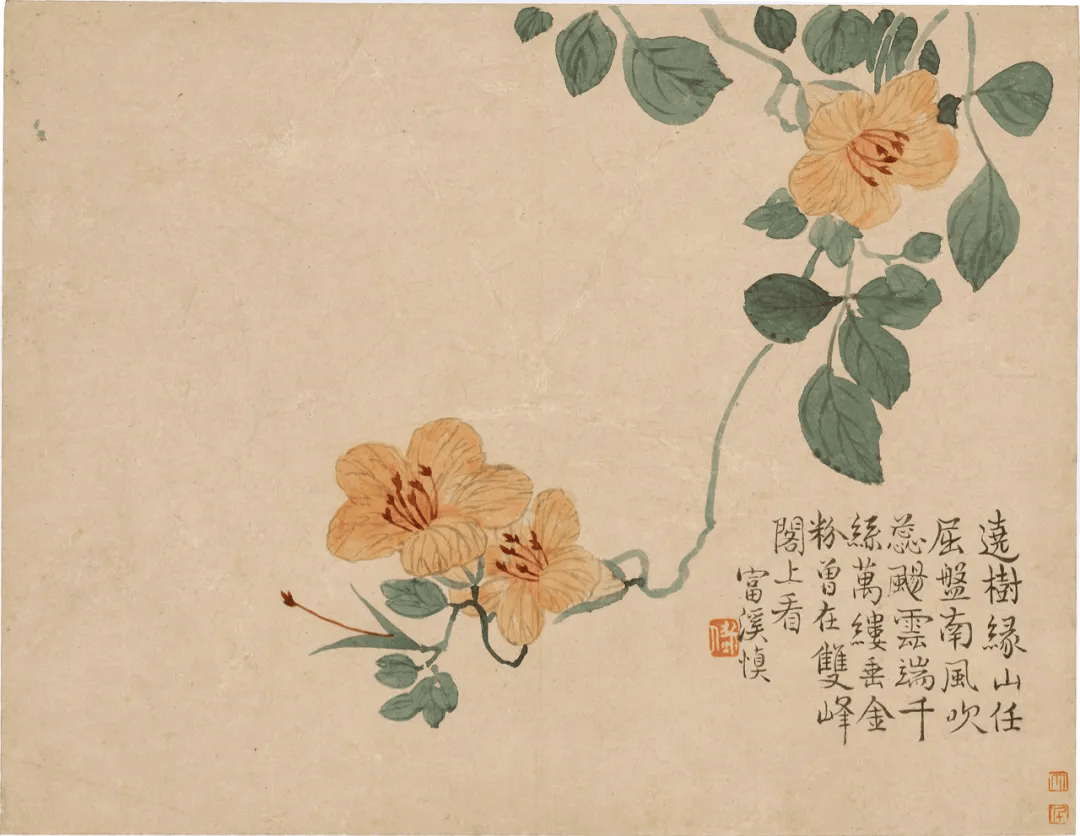 这小写意花鸟册,太美了