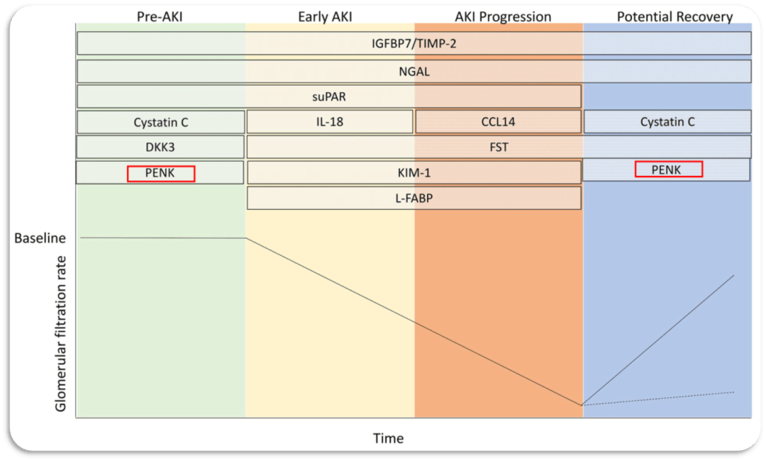 毛慧娟教授:aki预警的价值