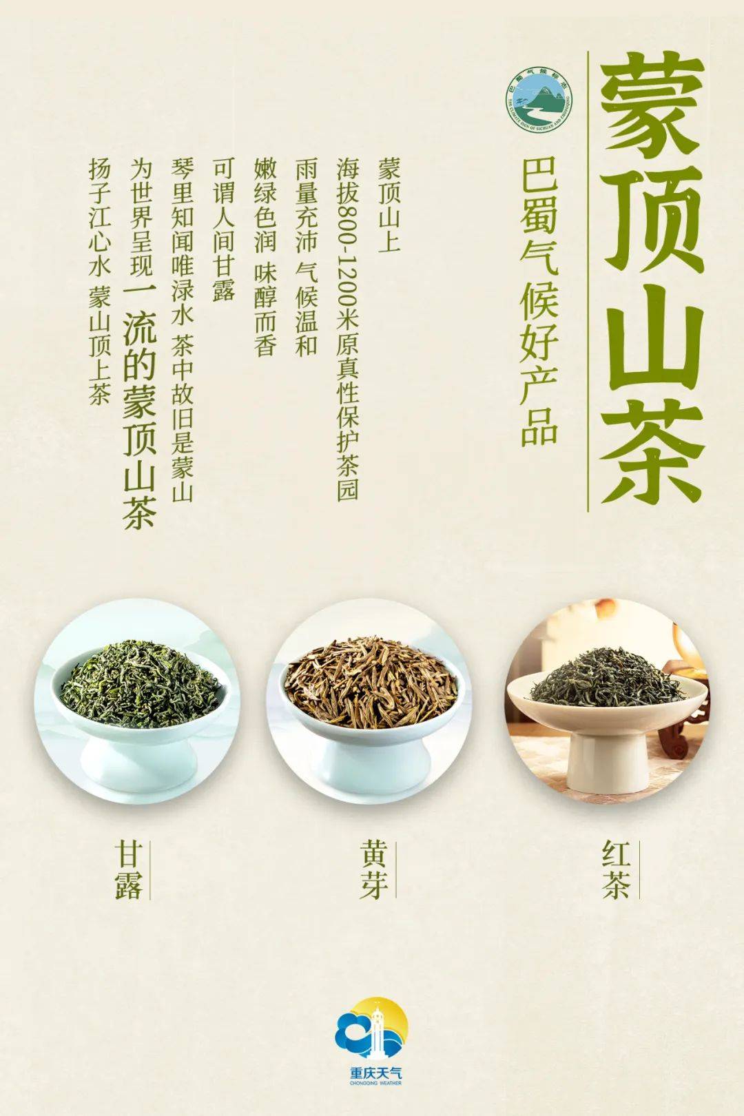 (1)蒙顶甘露中国十大名茶,中国顶级名优绿茶,卷曲型绿茶的代表,源自