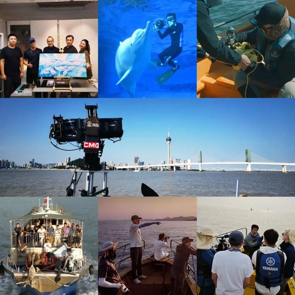 人与自然和谐共生——大型生态纪录片《中华白海豚》