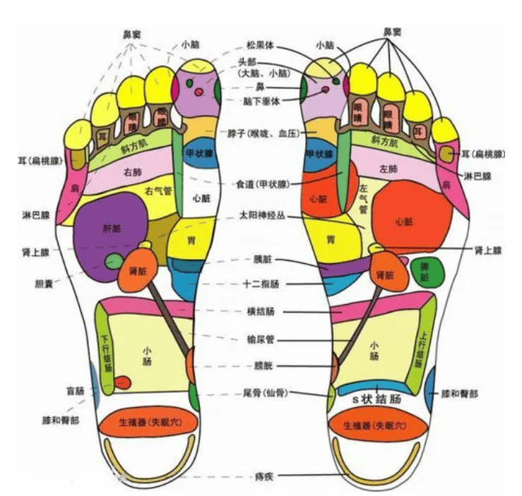 血糖点在脚上的部位图图片