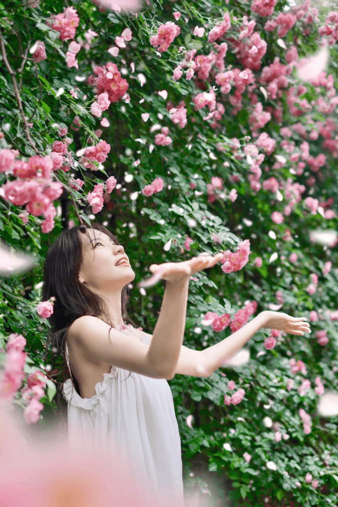长沙,有朵常开不败的花